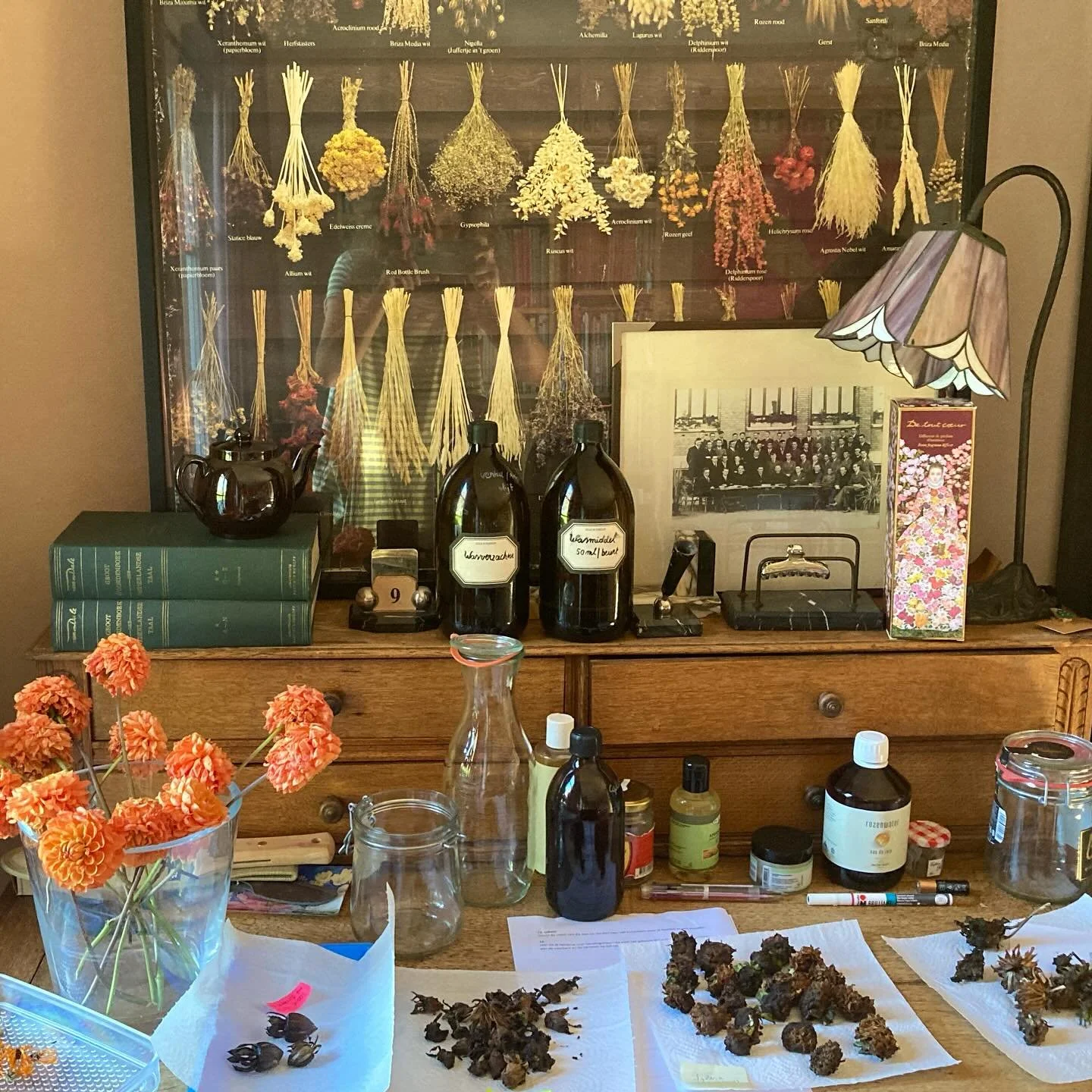 Plaats zoeken om bloemen te drogen 🥀🍁🕷️🪳#groenparadijs #bloemendrogen #gardenfun #biodiversity #nature #wildgarden #flowers #bloemen #gardeningisgoodforthesoul