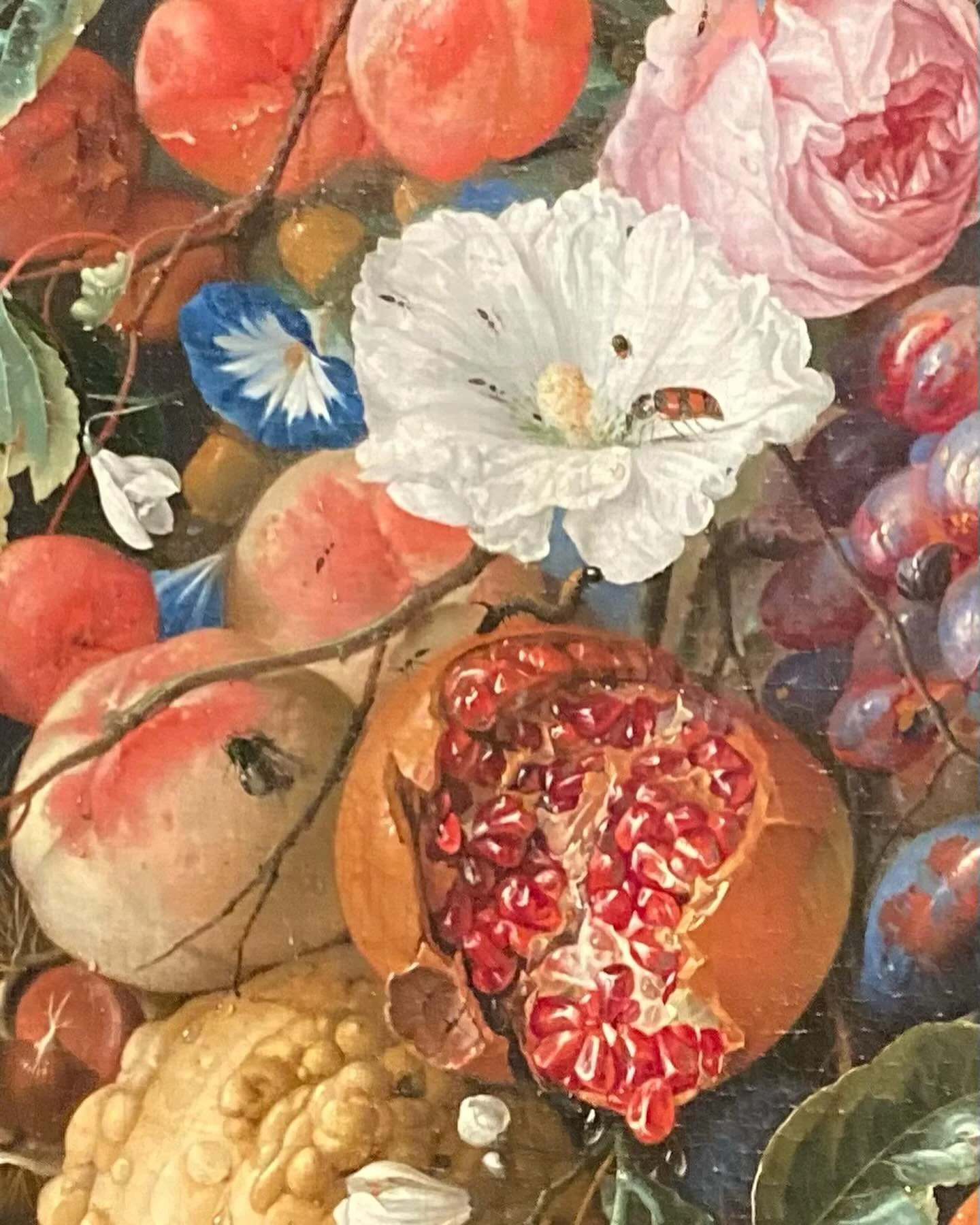 Stillevens uit de 17de eeuw van Jan Davidsz. de Heem (Rockoxhuis) en uit de 21ste eeuw van Catharina en Sabina Gezusters (eigen tuin).