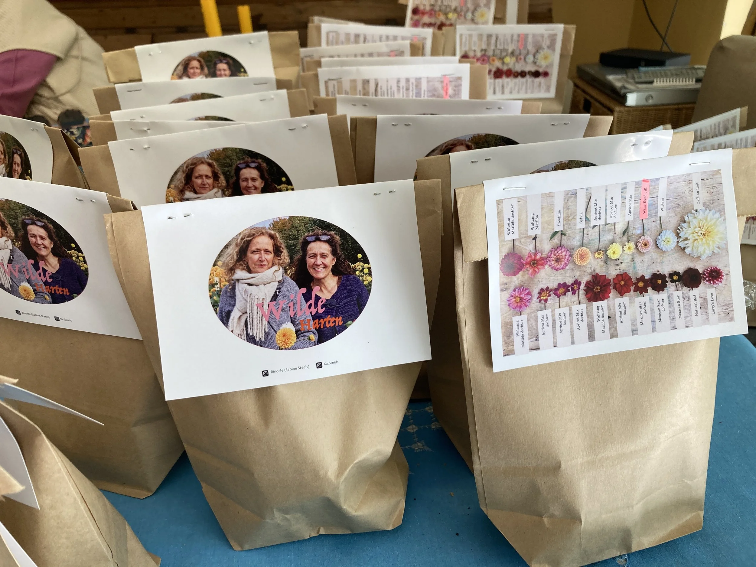 Dahlia-pakket te koop 'in kleine oplage'