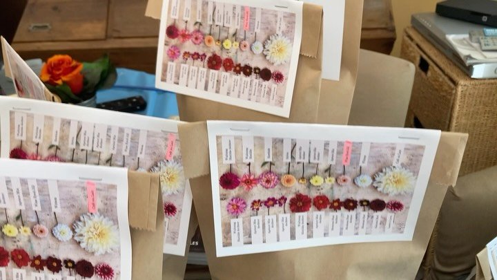 Ooops! Dahlia&rsquo;s van eigen kweek &lsquo;in heel kleine oplage&rsquo; te verkrijgen voor de wilde harten onder ons!🫶🏻 Na vijf jaar leren en experimenteren, zijn mijn zus en ik helemaal verliefd geworden op dahlia&rsquo;s - uit 12 aangekochte kn