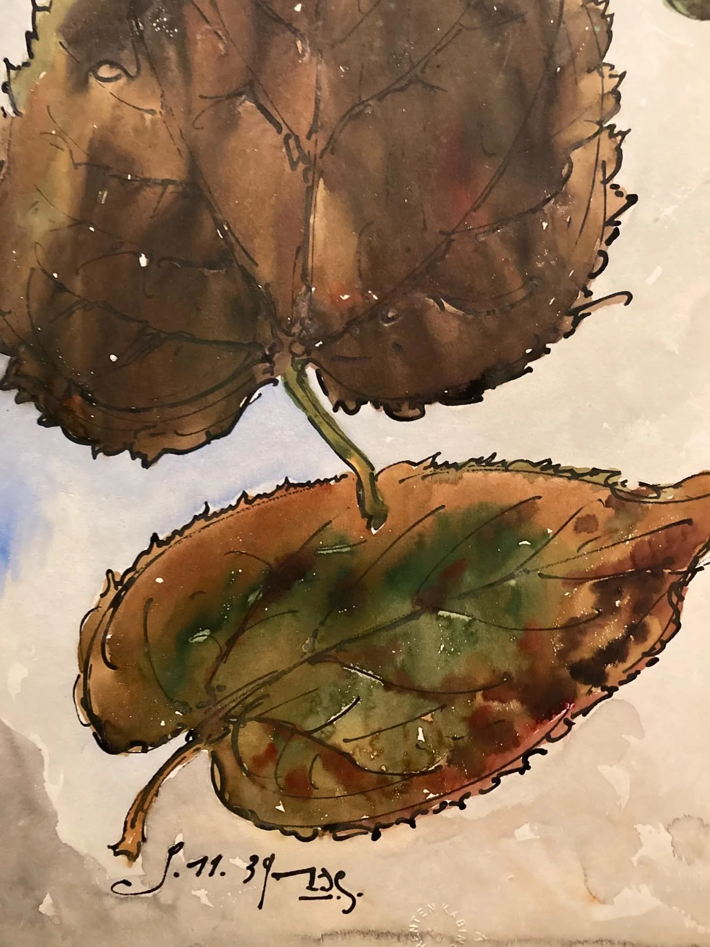 Mag ik drie pareltjes van tentoonstellingen voorstellen?

1. &lsquo;In volle bloei&rsquo;, @kmska_museum, nog tot 10 mei! Loopt slechts heel kort omdat er prachtige, verse bloemen-creaties van floristen in dialoog gaan met een kunstwerk. Mij opende h