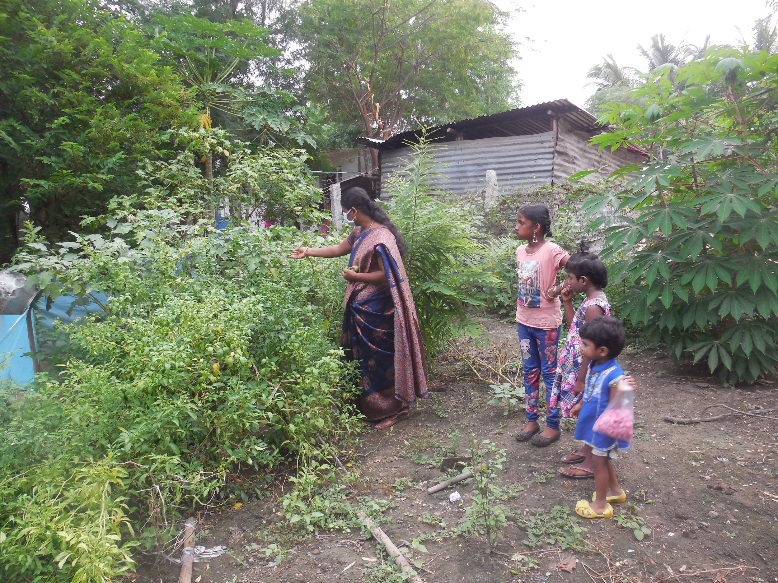 CRUSADE DEC 22 - Rubavashini - Kaniyambakkam- Kitchen garden and tree plantation.JPG
