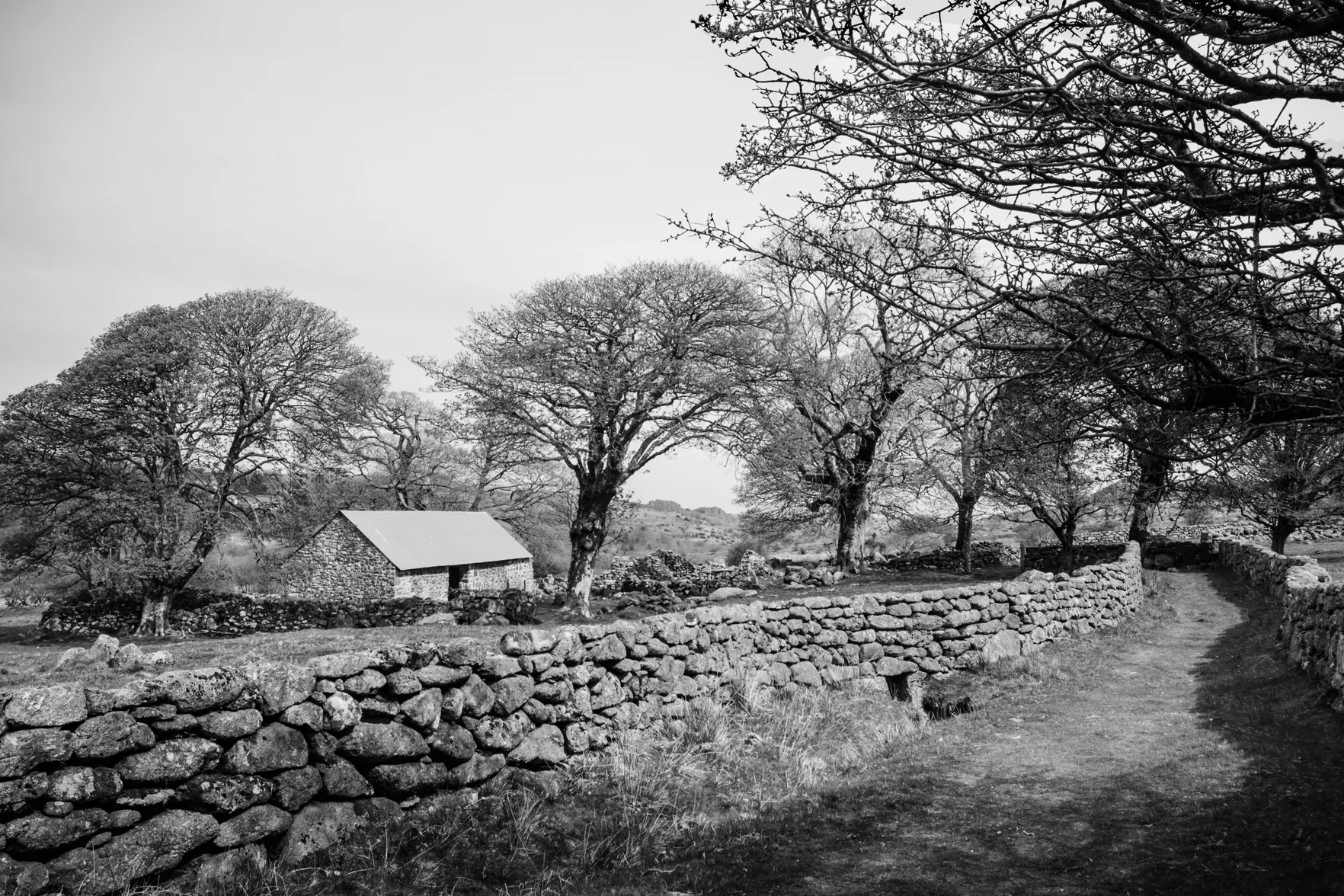 Kids can run free around the nature reserve at Emsworthy Mire