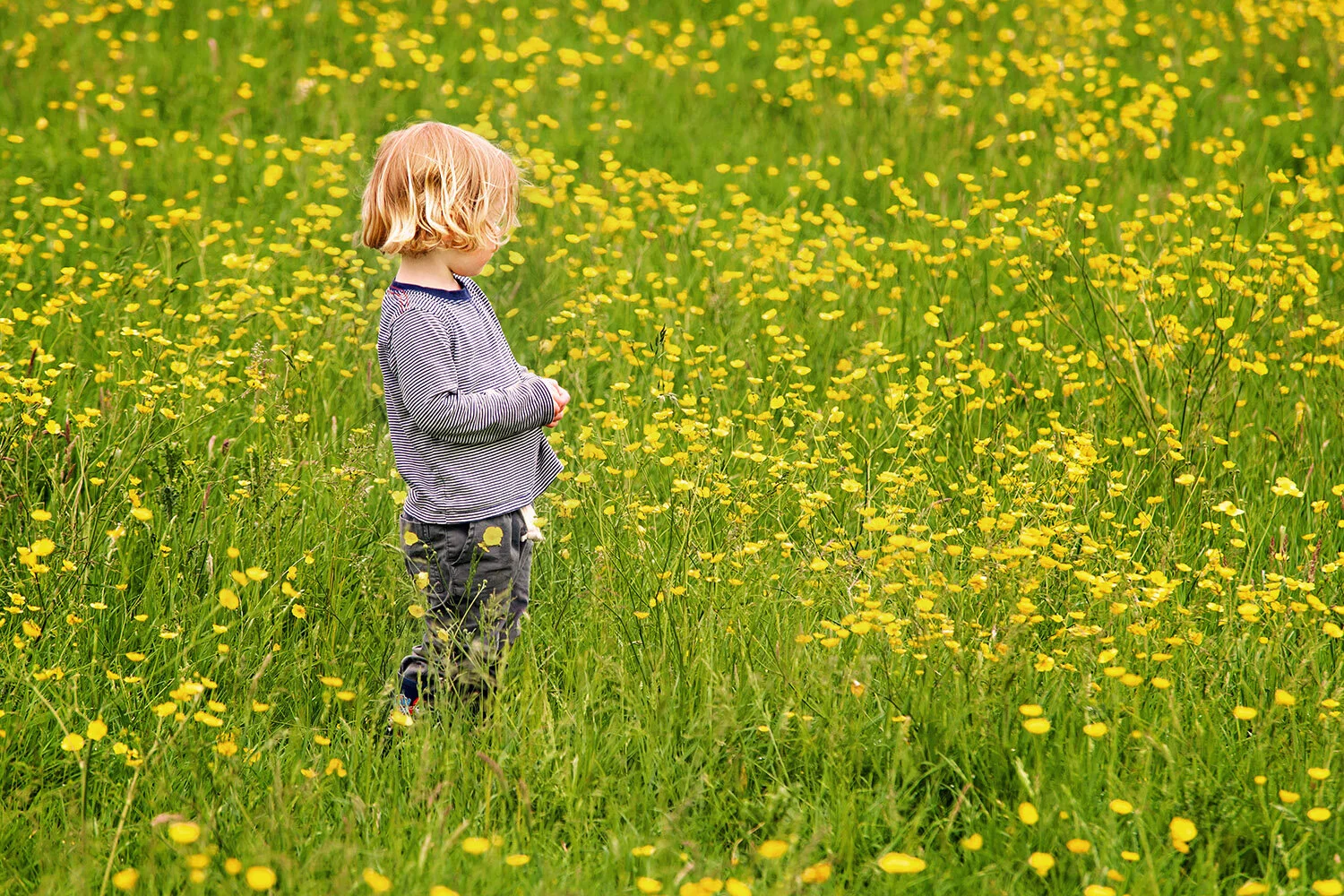 Family Photography in beautiful Devon countryside