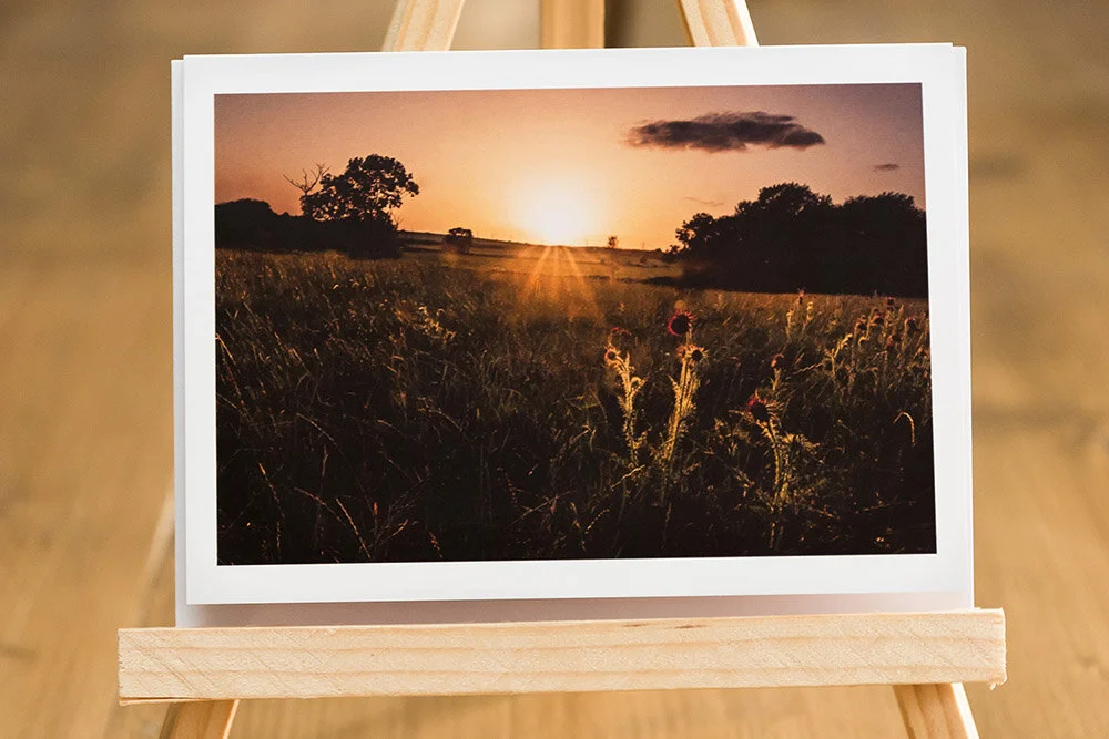 Thistles card.jpg