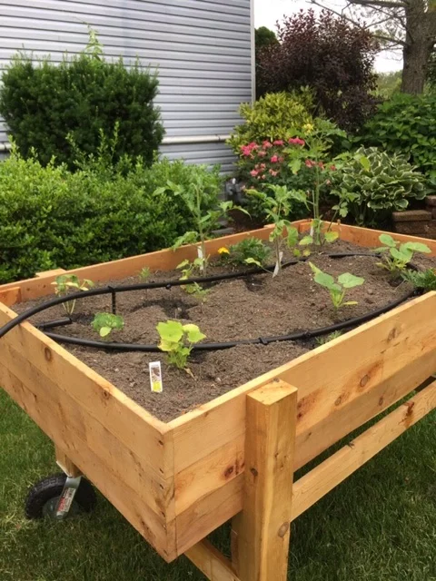 Garden Cart Duo 