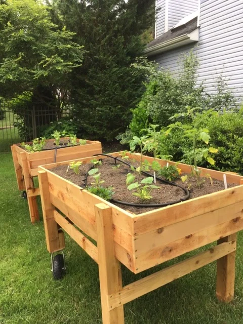 Garden Cart Duo