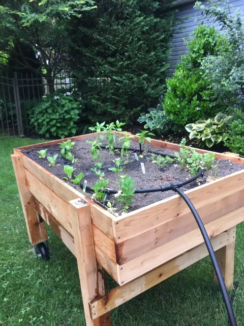 Garden Cart Duo