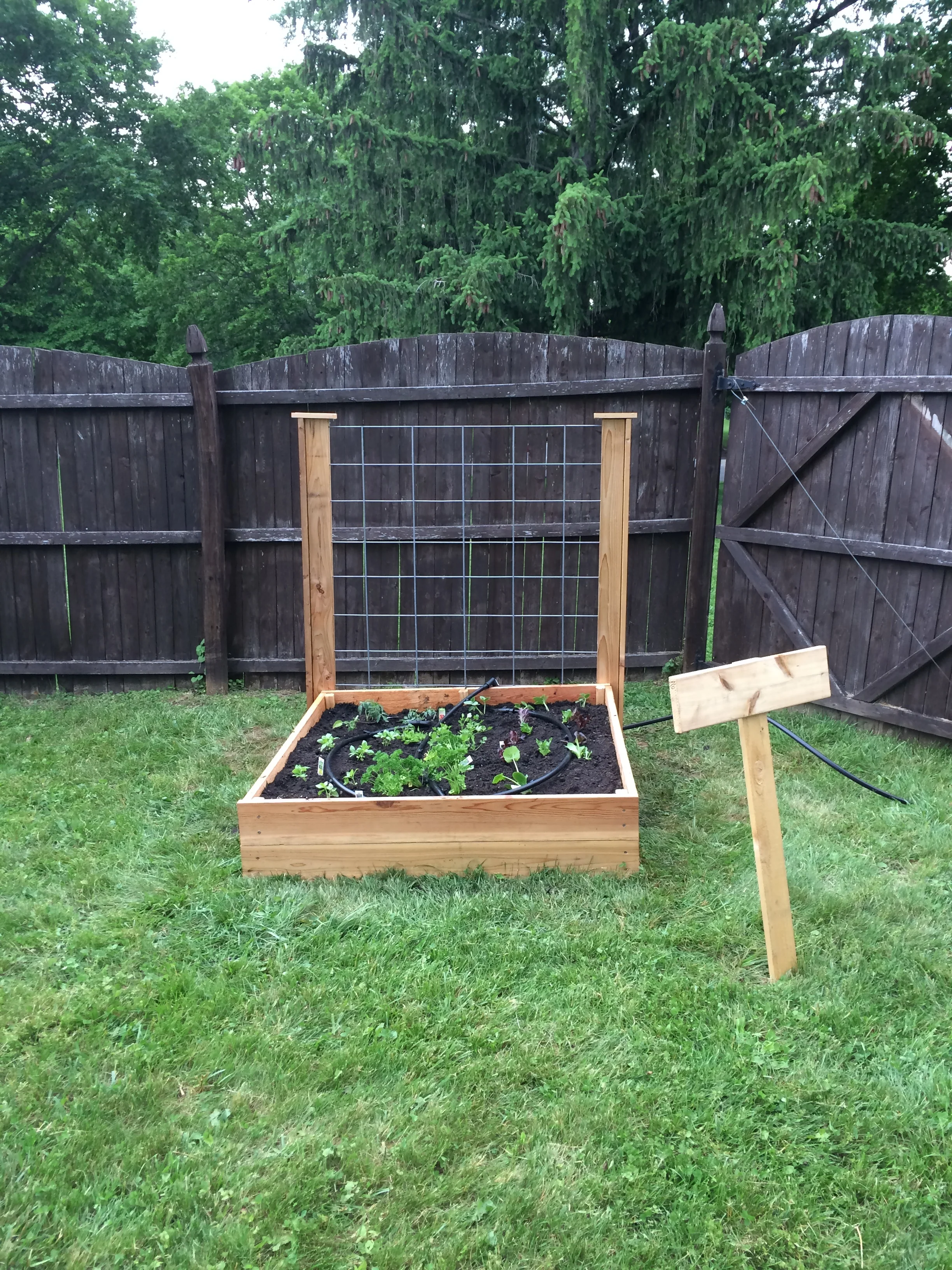 Garden For A Child 