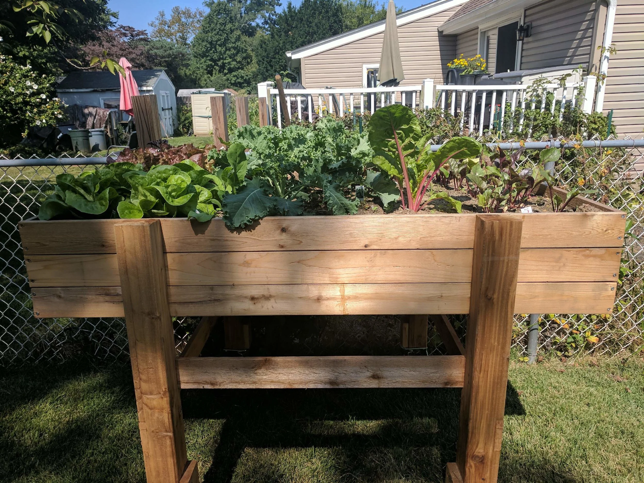 Garden Cart
