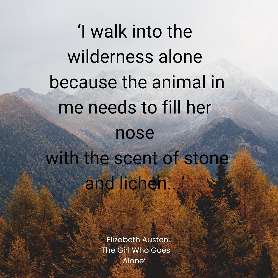 &lsquo;I walk into the wilderness alone because the animal in me needs to fill her nose with the scent of stone and lichen, ocean salt and pine forest warming in early sun.
I walk in the wilderness alone so I can hear myself. So I can feel real to my