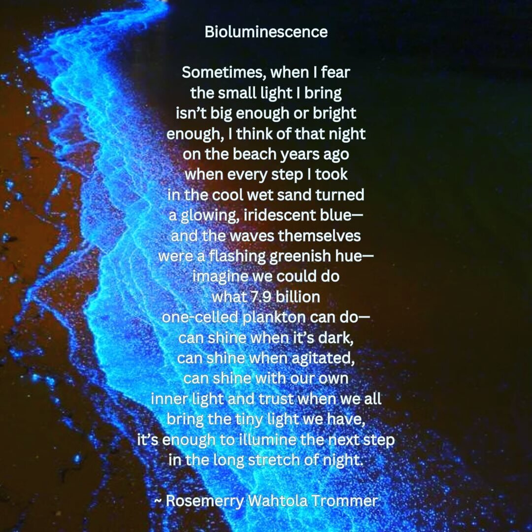 We are always stronger and more resourced when held by community willing to stand and bear witness to injustice. We can illuminate the darkness for one another and find renewed strength to continue to use our voice each day. 🍉🍓 #freepalestine #grie