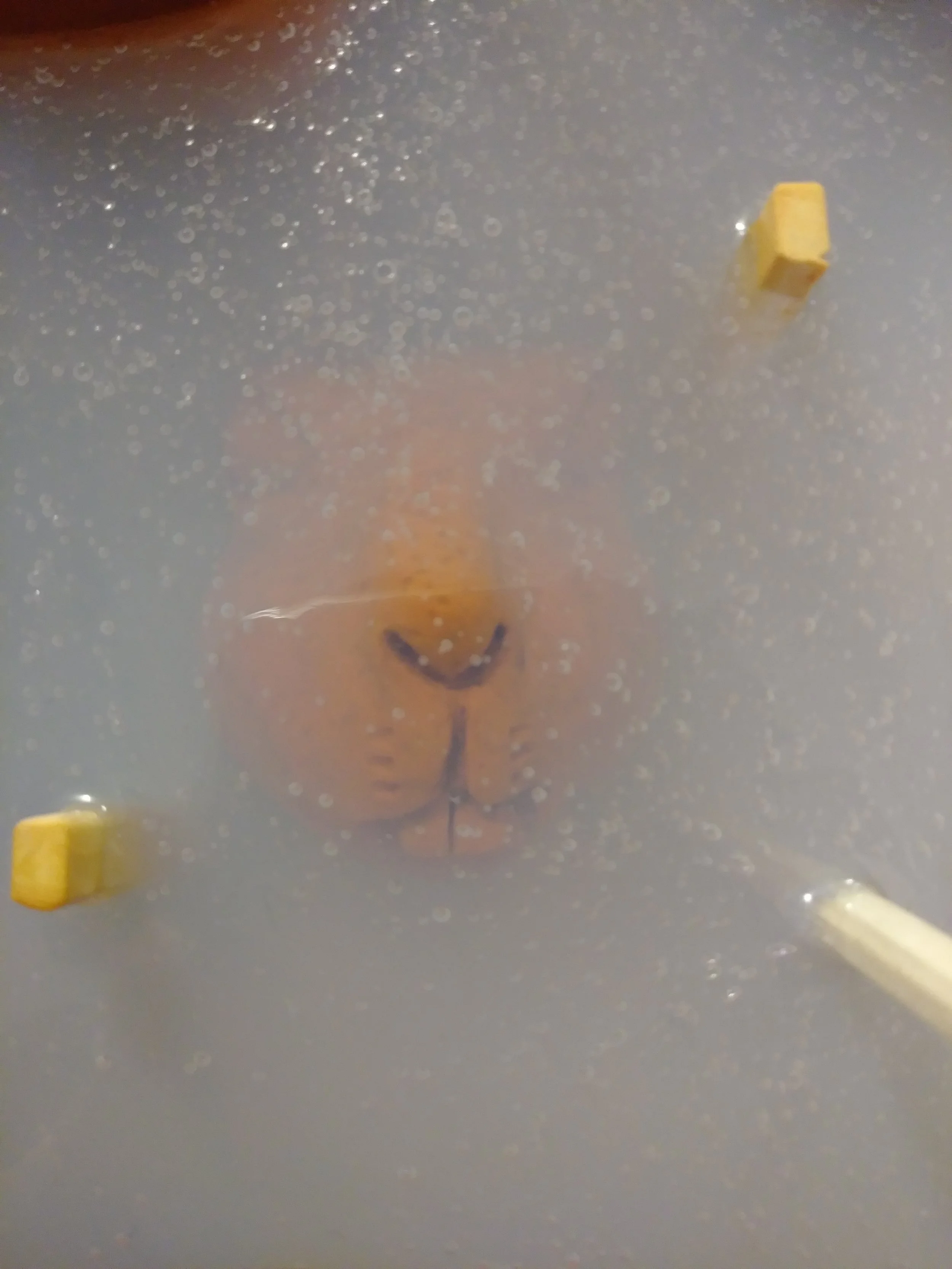 Making a silicone mold with a plasticine clay Easter bunny.