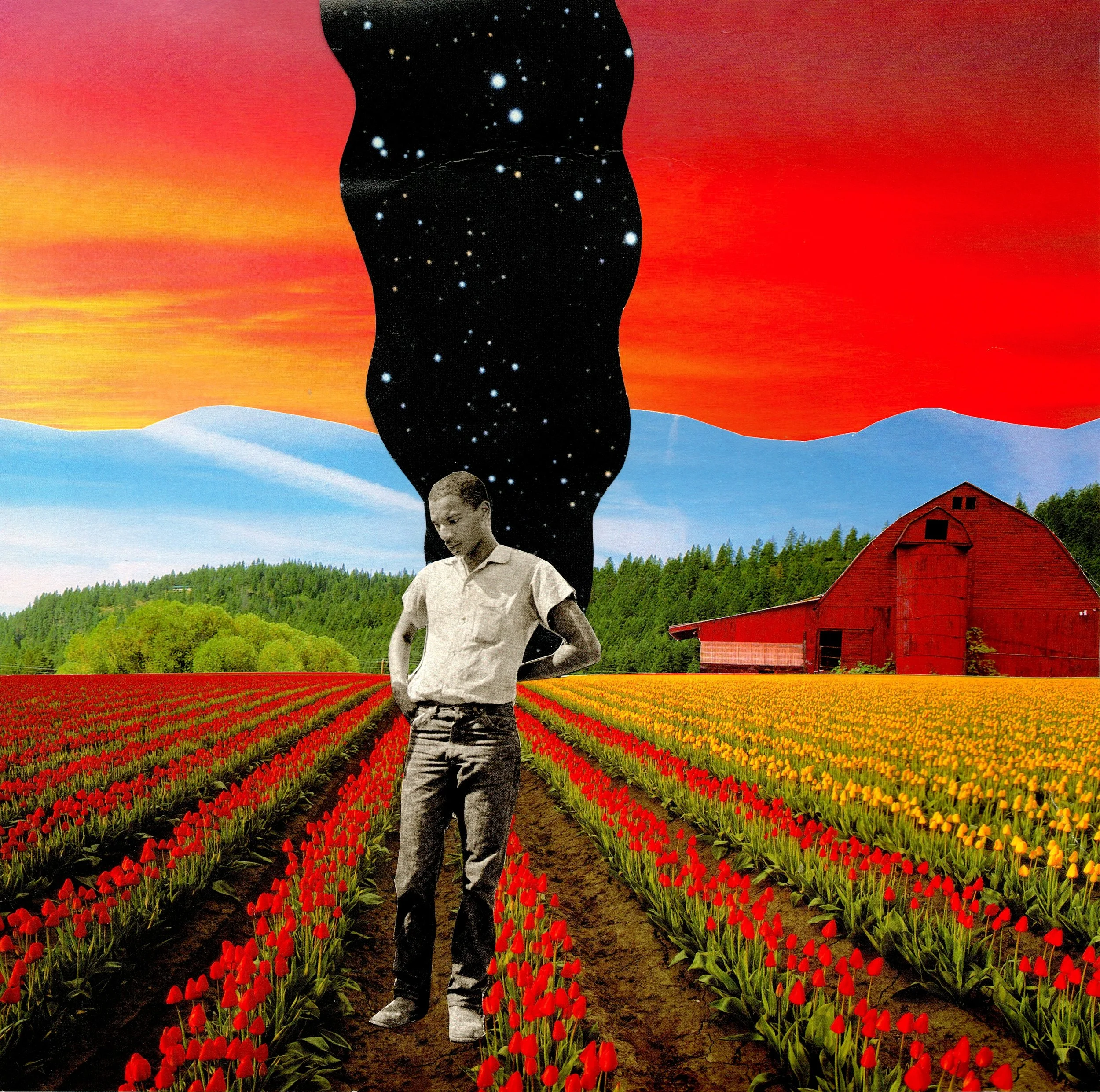 'Blooming in Plain Sight'