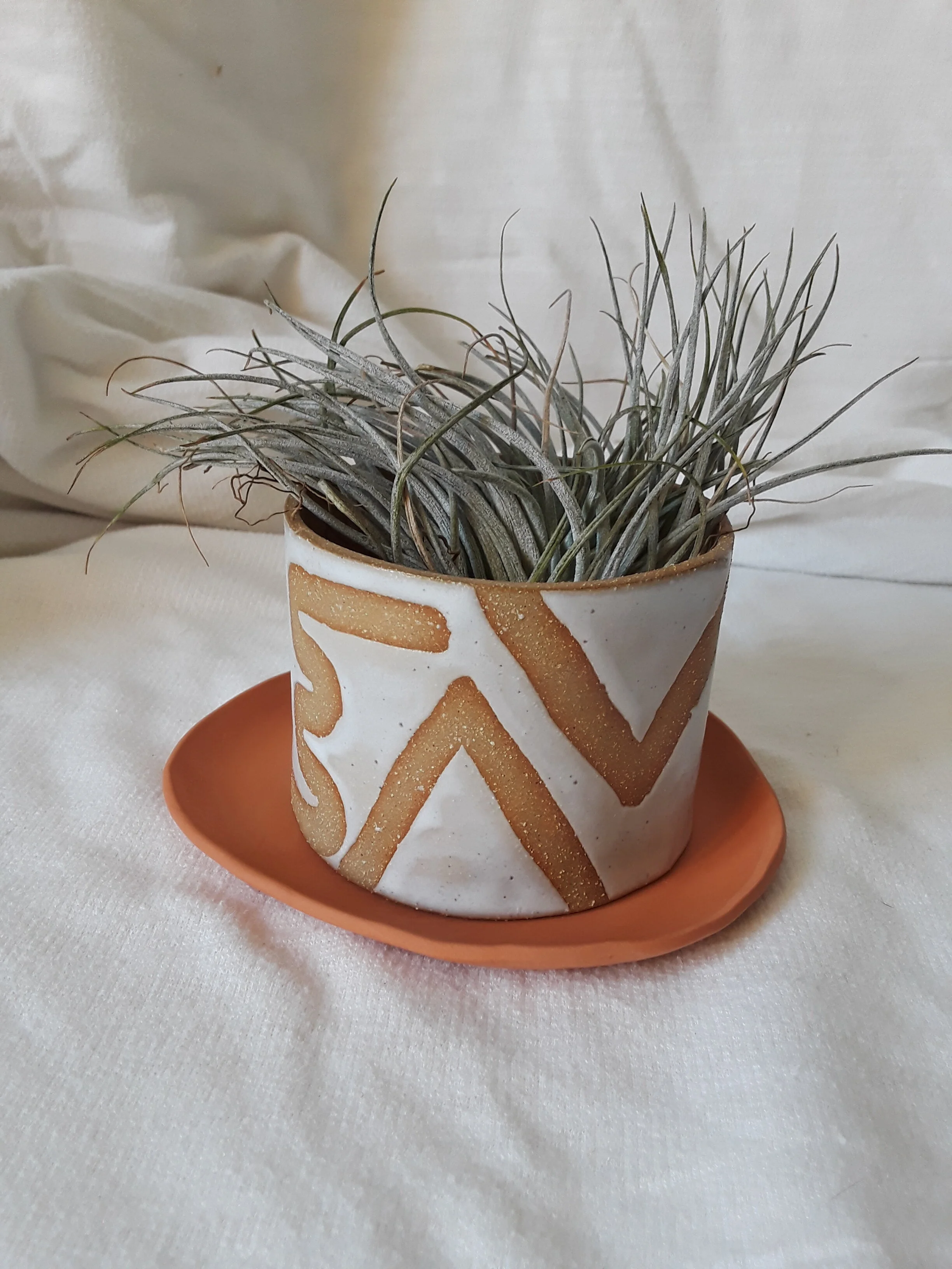 desk top planter no. 1  **MADE TO ORDER**