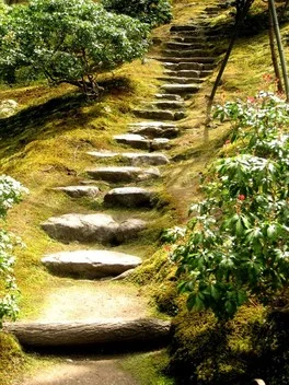 An inviting path of natural elements