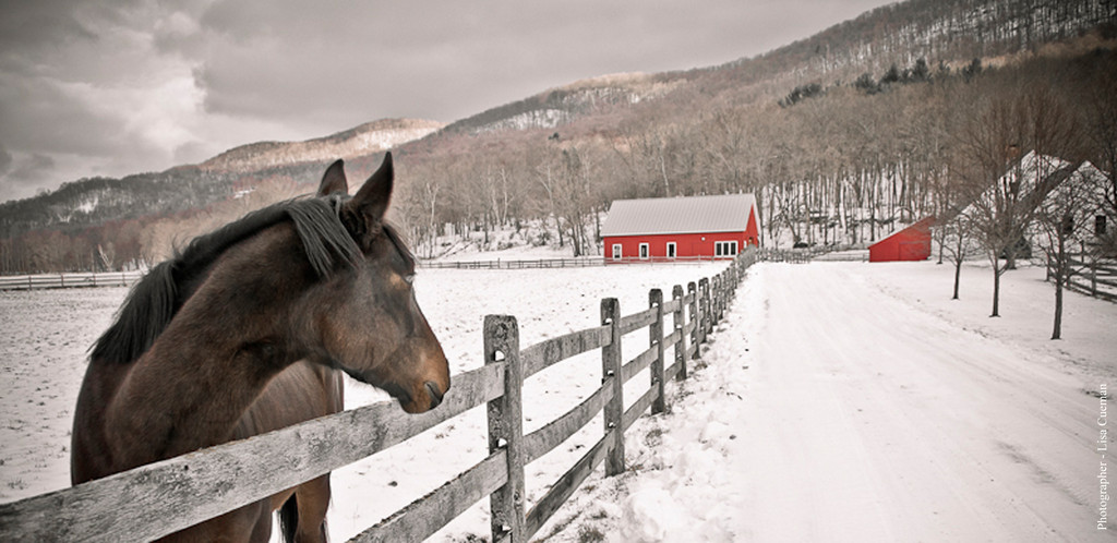 A Powerful Barn Image by Photographer and Friend, Lisa Cuman