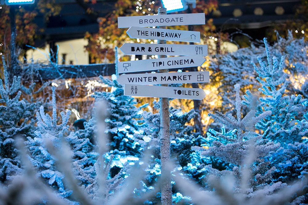 JMP_WINTER_FOREST_15.jpg