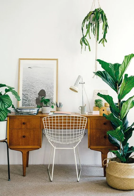 Title Image Macrame and Basket.jpg