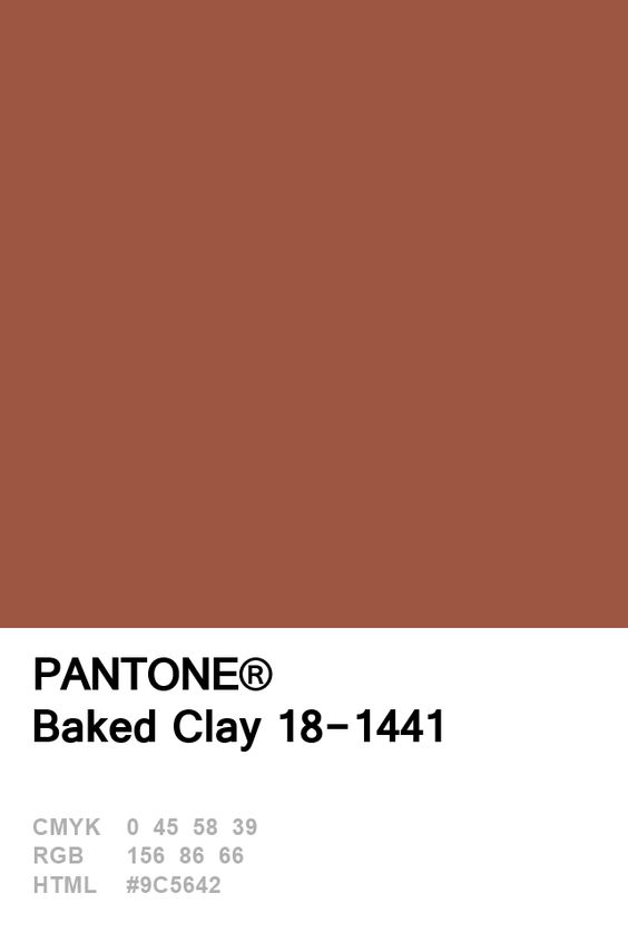 Pantone Baked Clay Colour Card.jpg