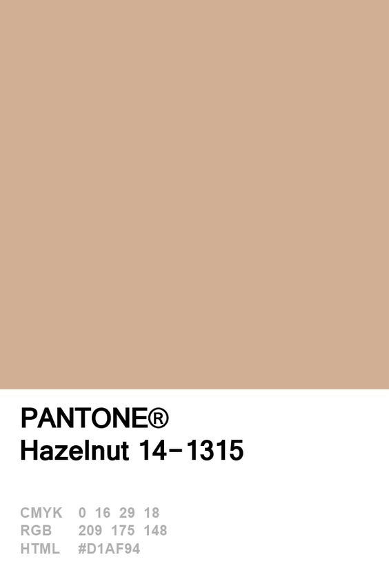 Pantone Hazelnut Colour Card.jpg