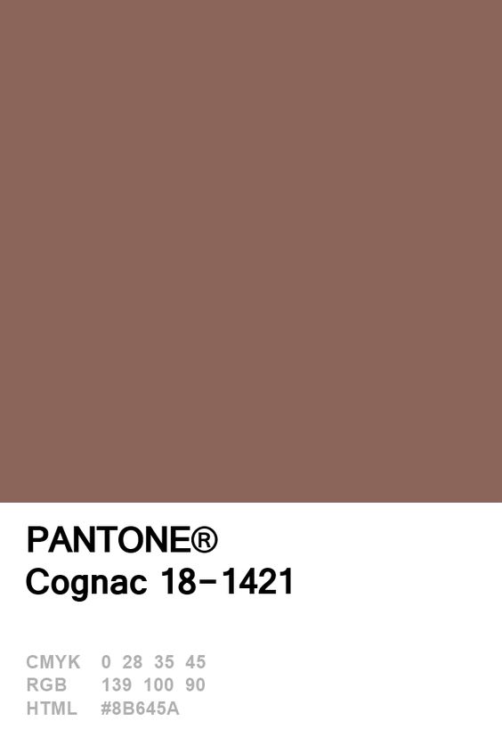 Pantone Congac Colour Card.jpg