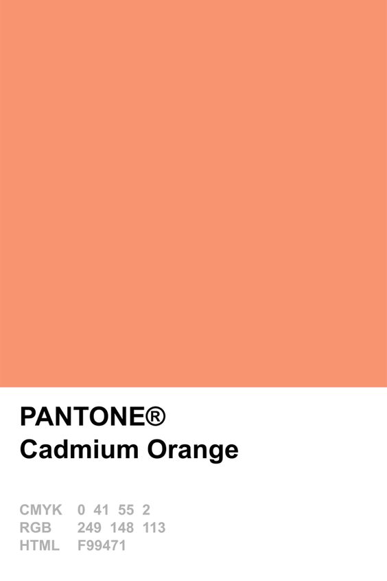 Pantone Cadmium Orange Colour Card.jpg