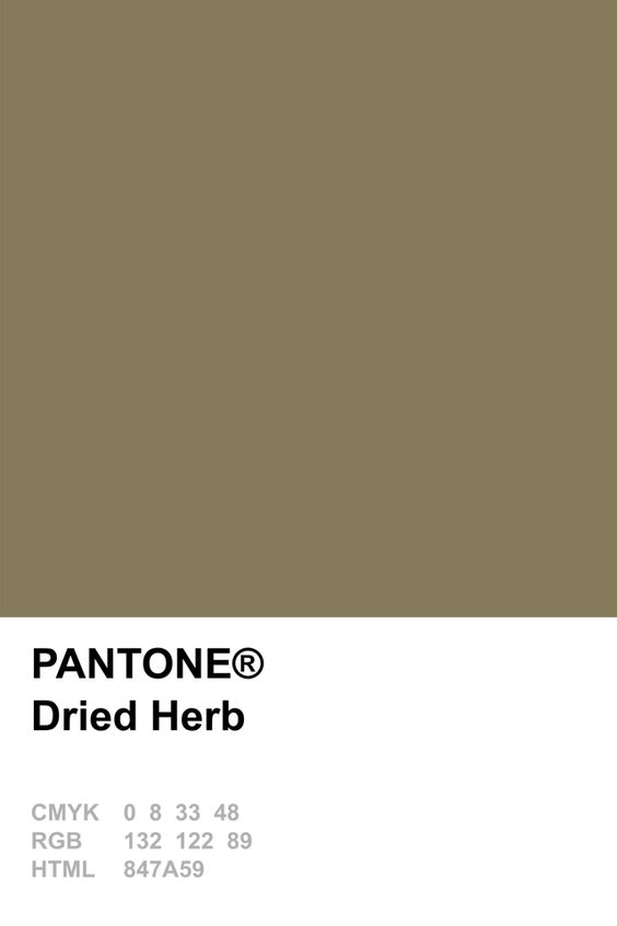 Pantone Dried Herb Colour Card.jpg