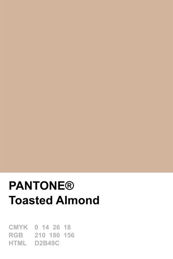 Pantone Toasted Almond Colour Card .jpg