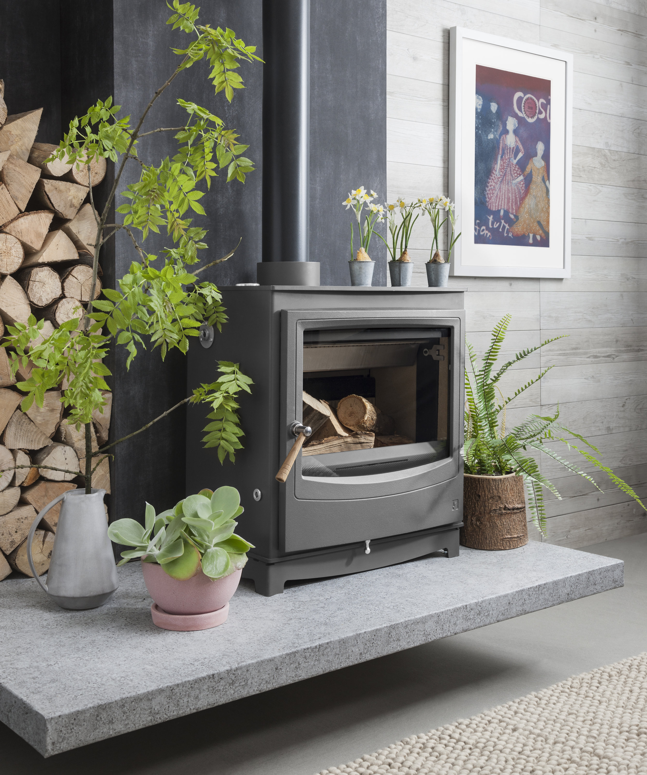 Farringdon Catalyst Wood Burning Stove from Arada