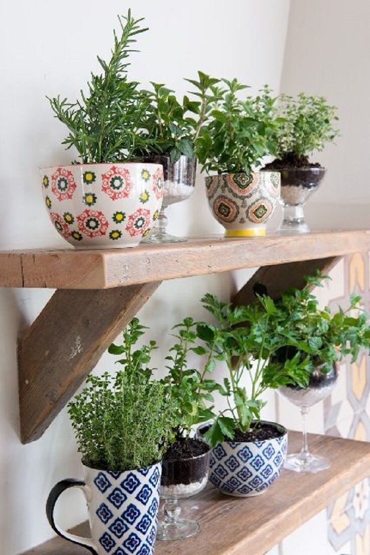 Use Cocktail Glasses and Mugs for A Stylish Way to Grow Your Herbs - 13 Peaceful DIY Indoor Garden Ideas That Brings The Outdoors In.jpeg