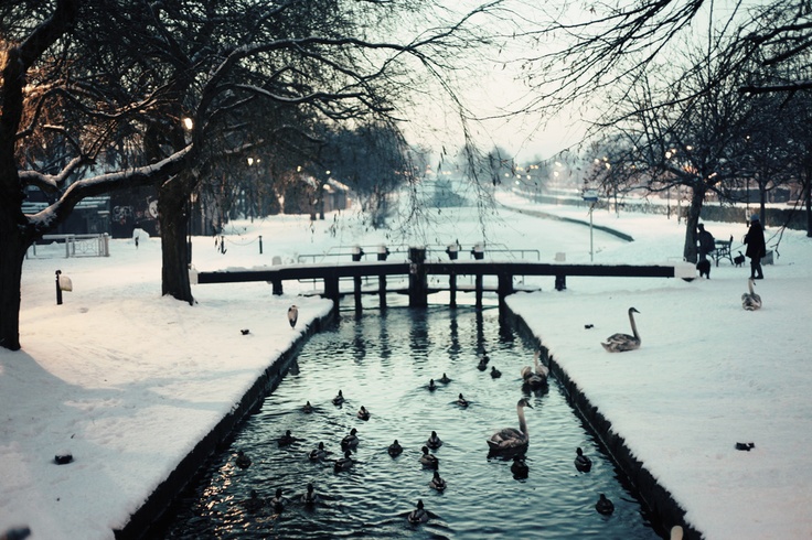 One truly wonderful strategy to avoid piling on the pounds this Christmas...