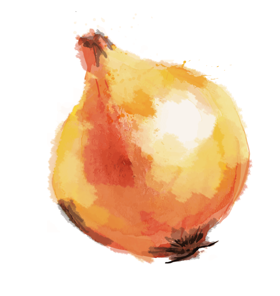 onion.png
