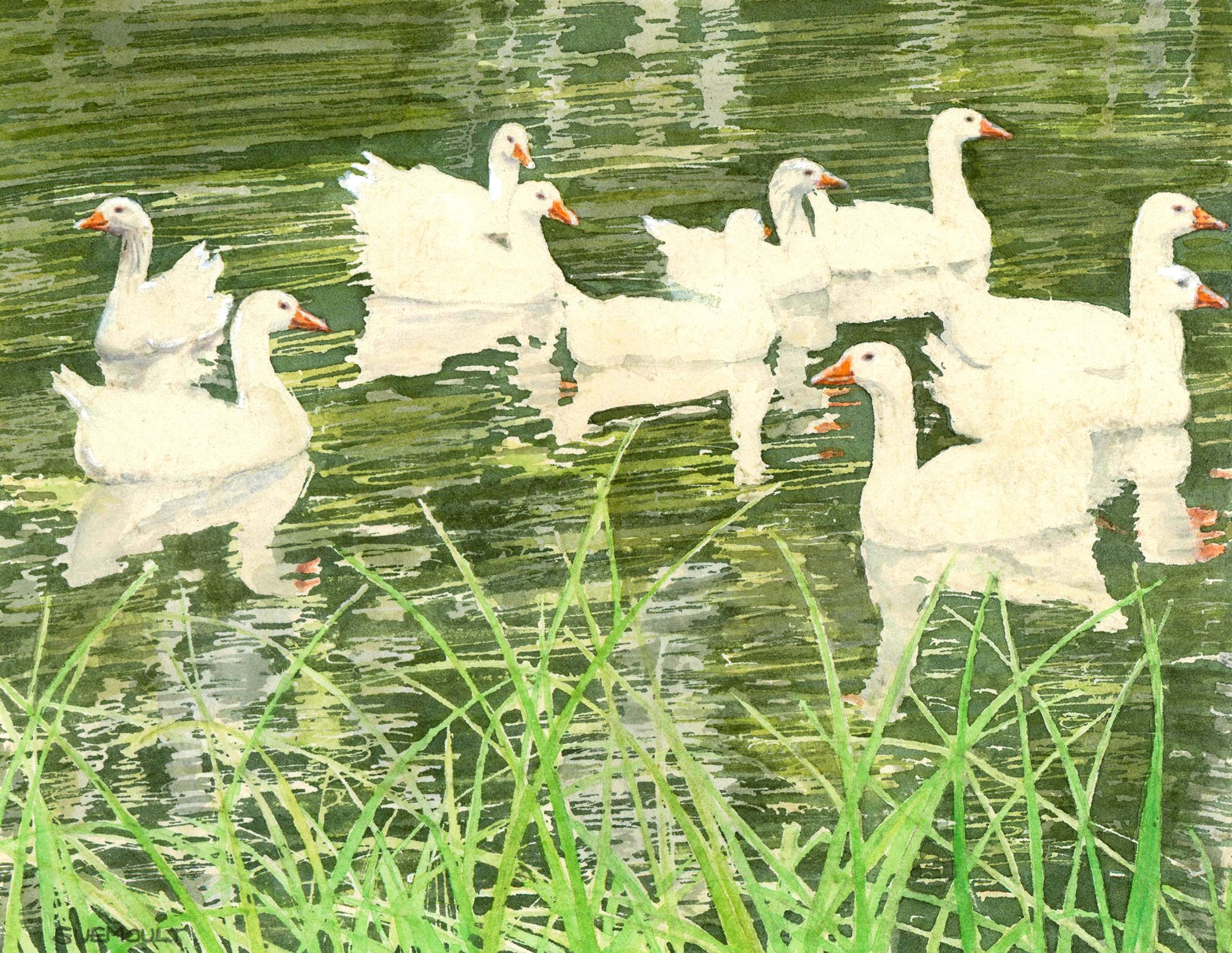 'Geese on the Cam, Coe Fen' by Sue Moult
