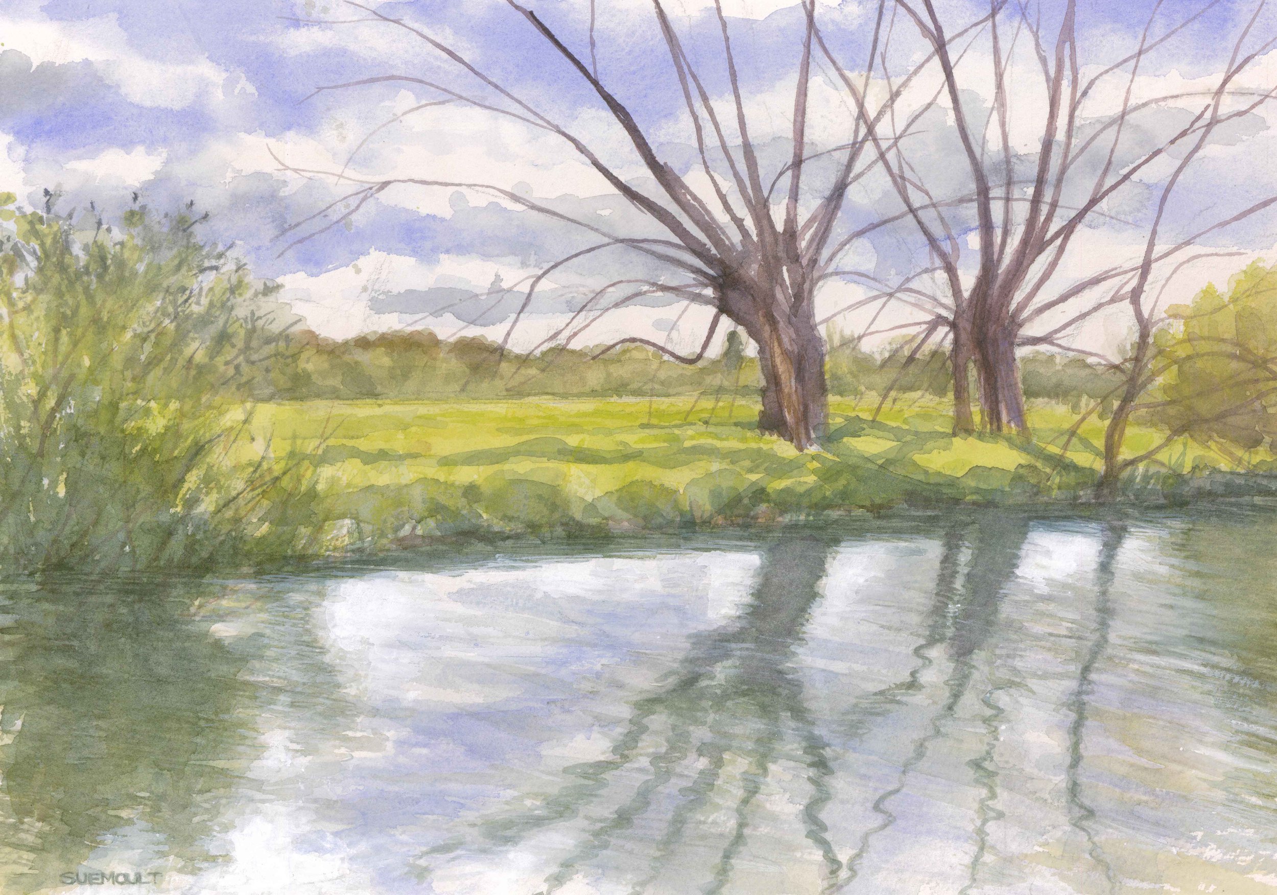 'Willow Reflections near Grantchester' by Sue Moult