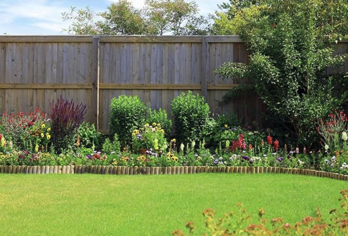 backyard2.png