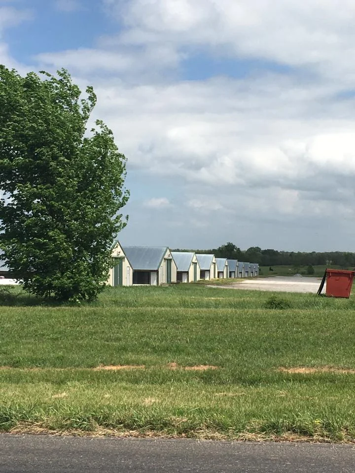 Poultry — Nature's Wave