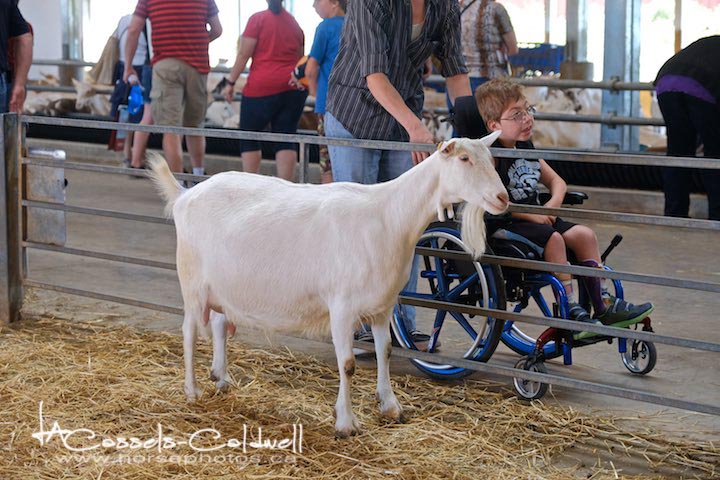 Breakfast on the Farm, hosted by Donkers Family Farm
