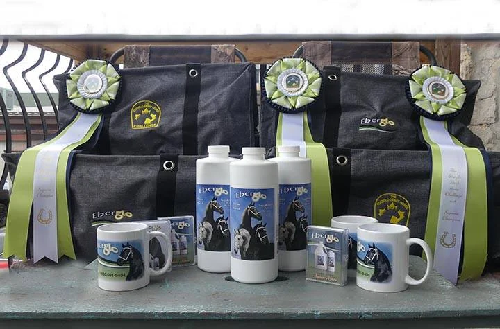 challengprizes18.jpg