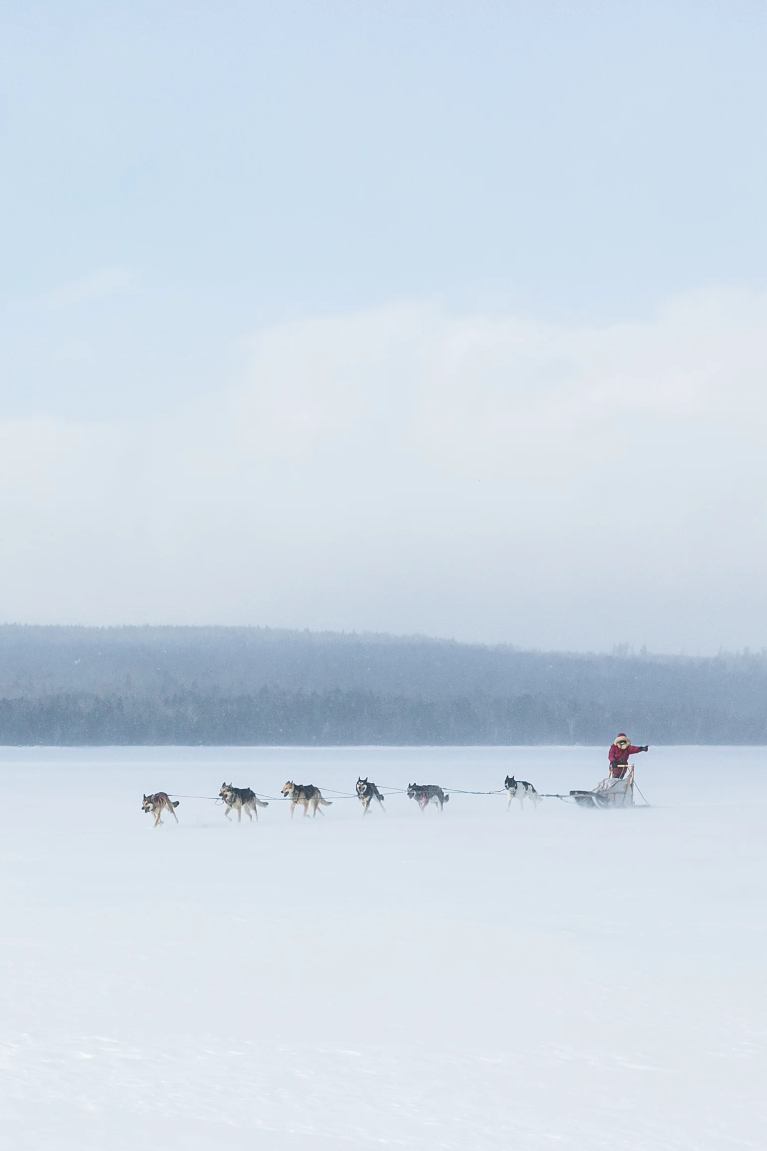 reighley_dogsled-7244.jpg