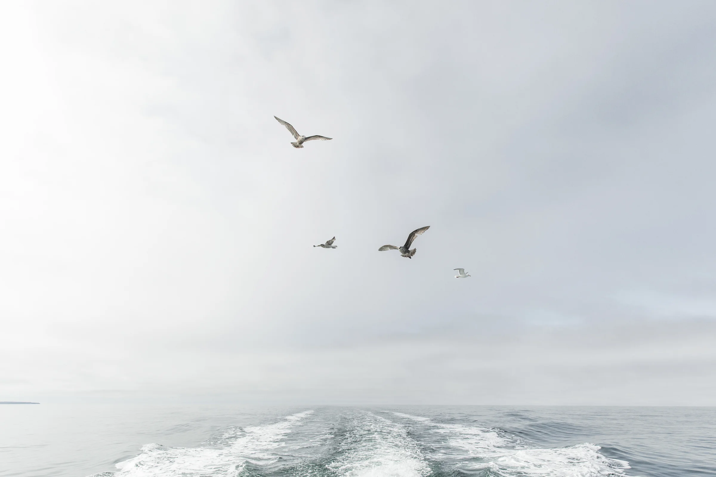 GRybus-FirstCoast-Lubec-1502-1366.jpg