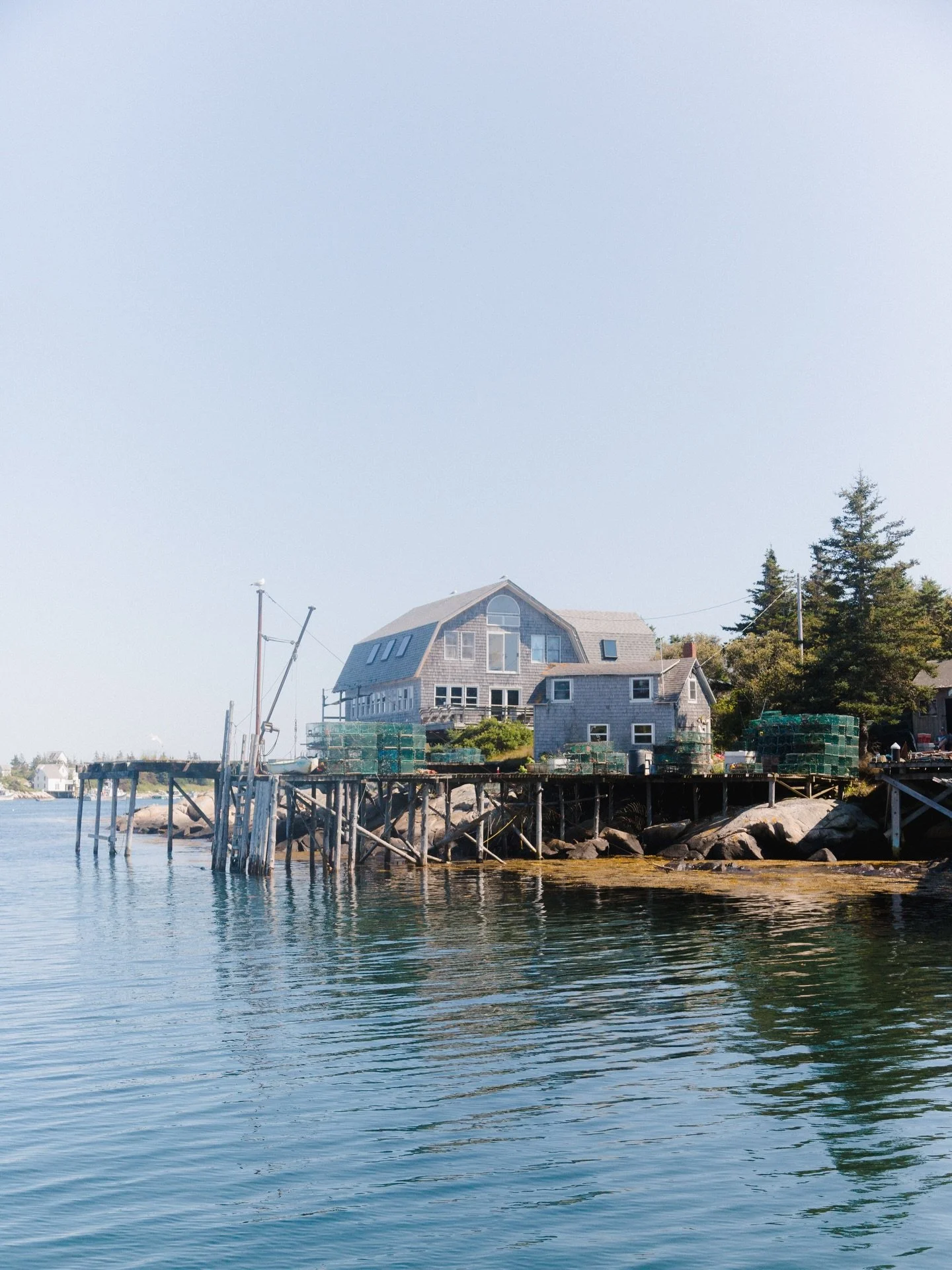 Is it too soon to start holding our breath for summer?? Asking for my friend on the last slide!! 🦭 #mainetheway #mainething #maine