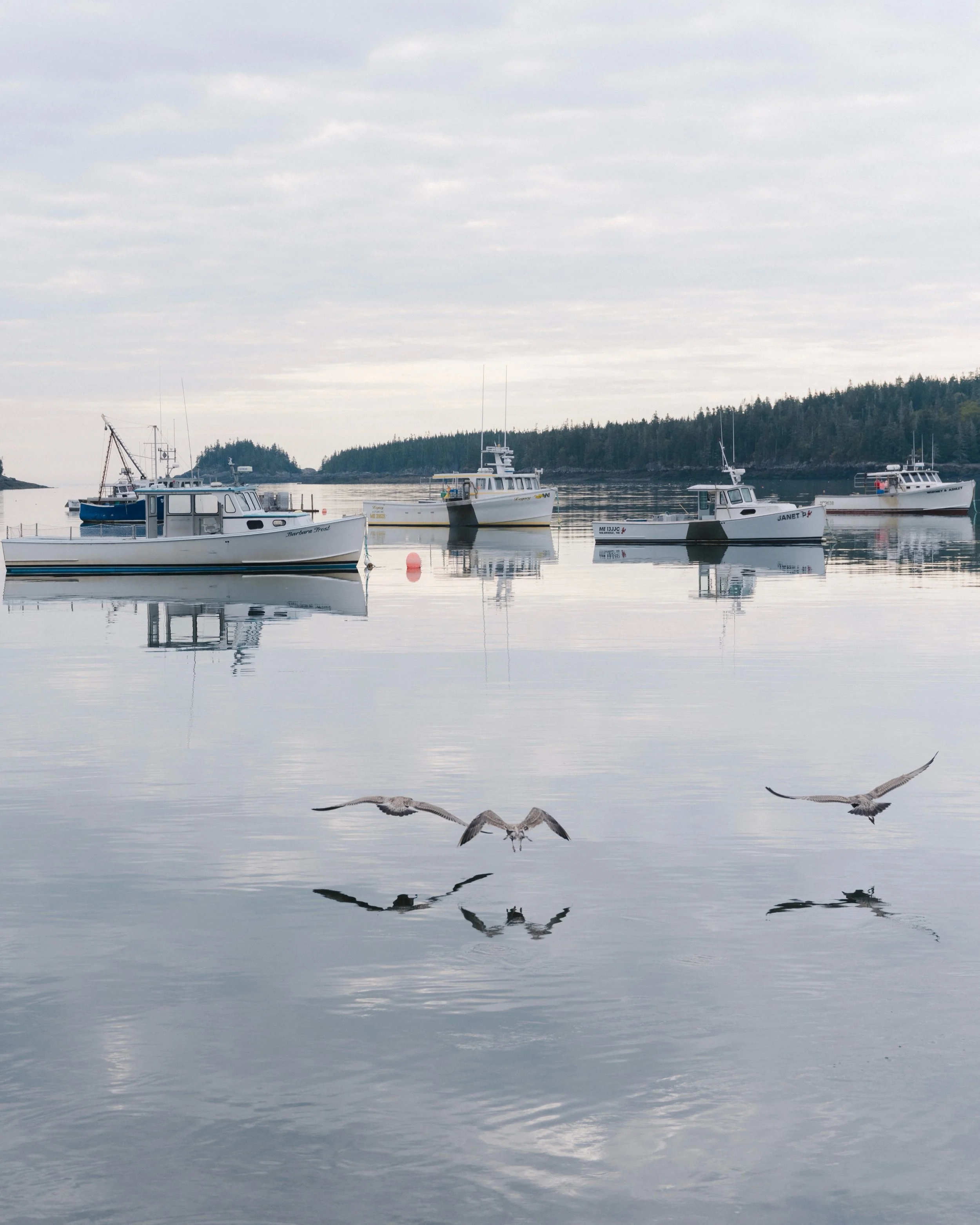 Spent some time Downeast with @downeastacadia recently. It was beautiful, peaceful, inspiring. 

This was my first big work trip since we had our daughter. It felt so good to be back, finding my flow with photography again. Excited to share lots more
