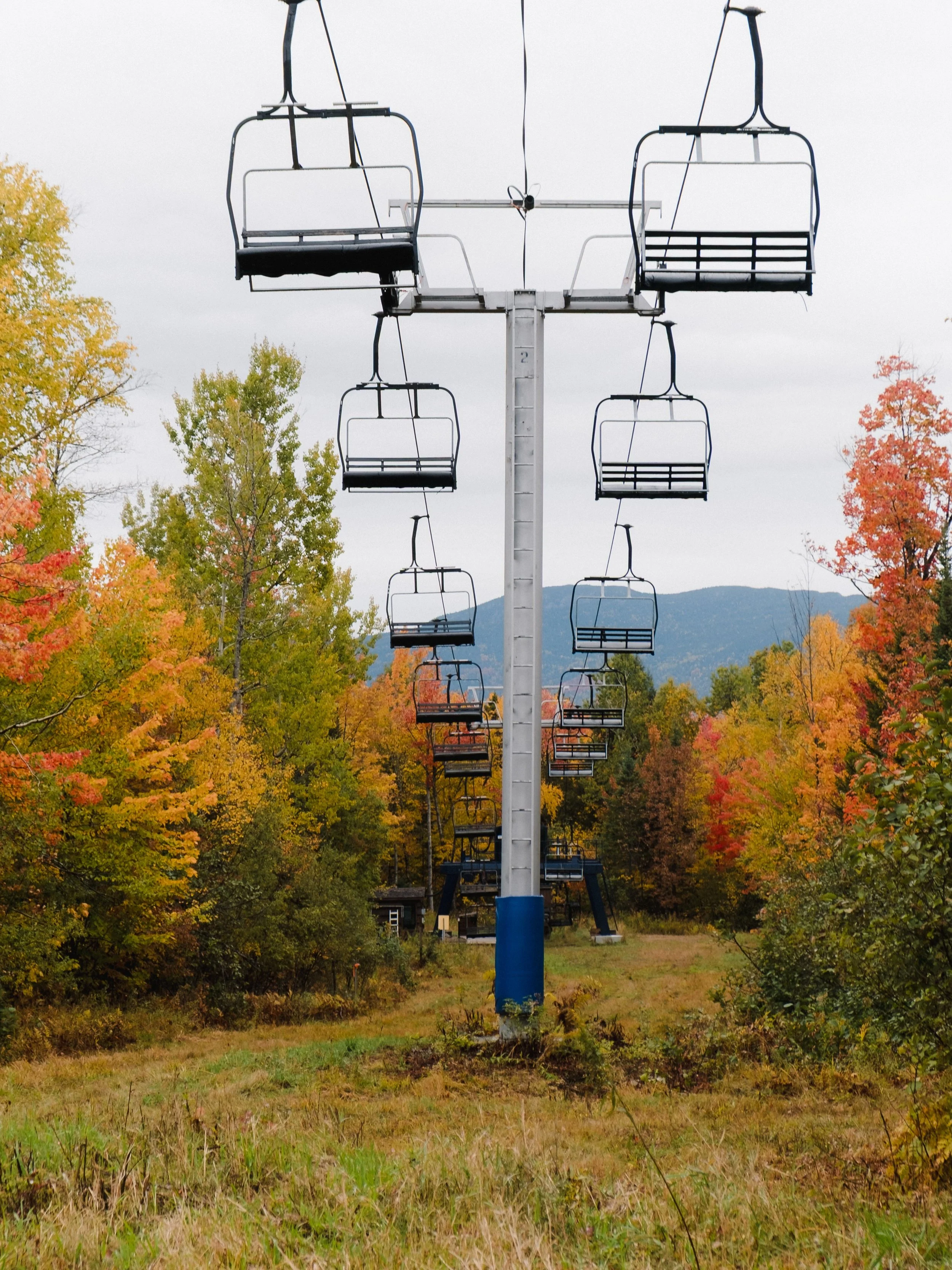 Autumn leaves falling down like pieces into place. 🍂 #mainetheway #mainething #maine #fallinmaine #fallfun