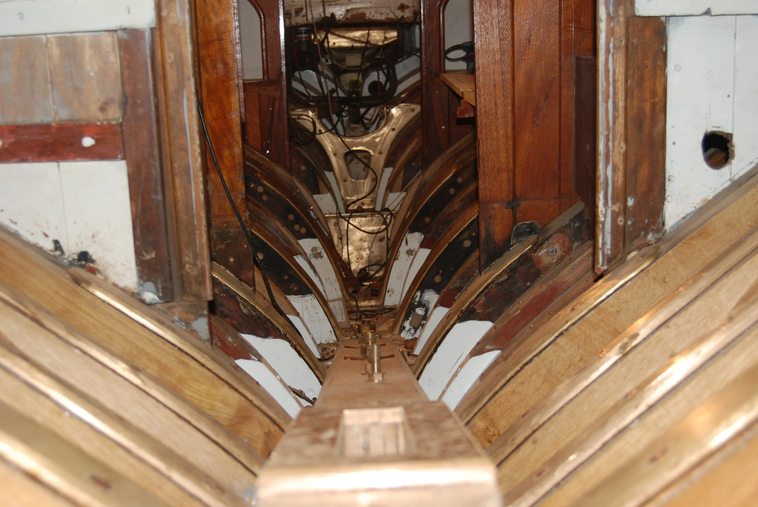DSC_4481.JPG