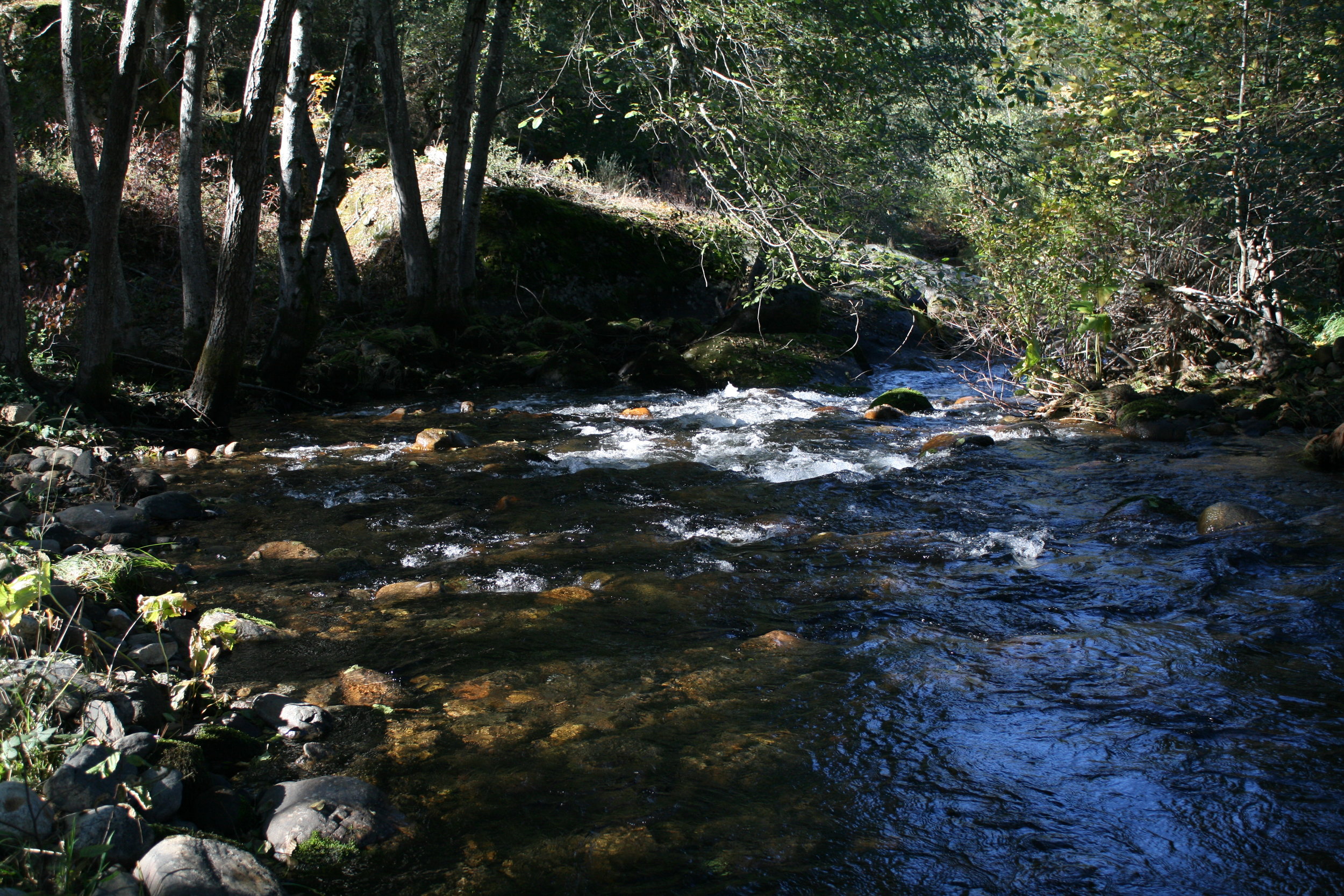 Middle Fork of the Cosumnes