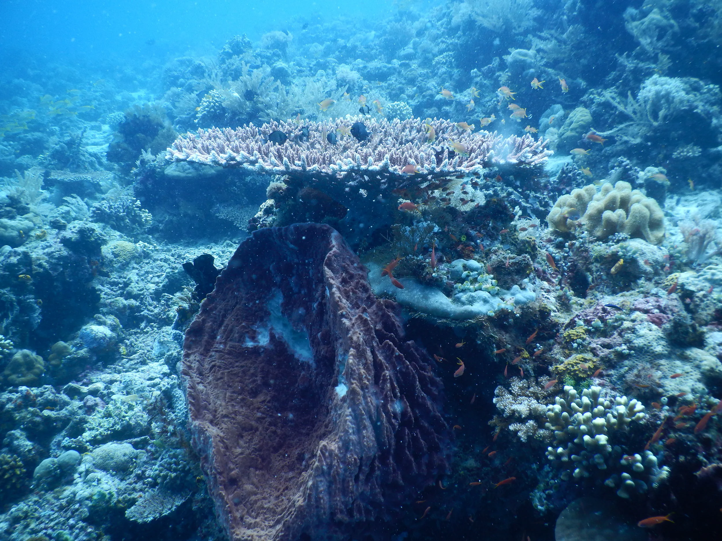 DSCN3474.jpg