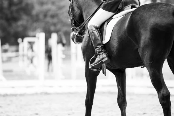 SDCTA Suncoast Dressage Festival I &amp; II 