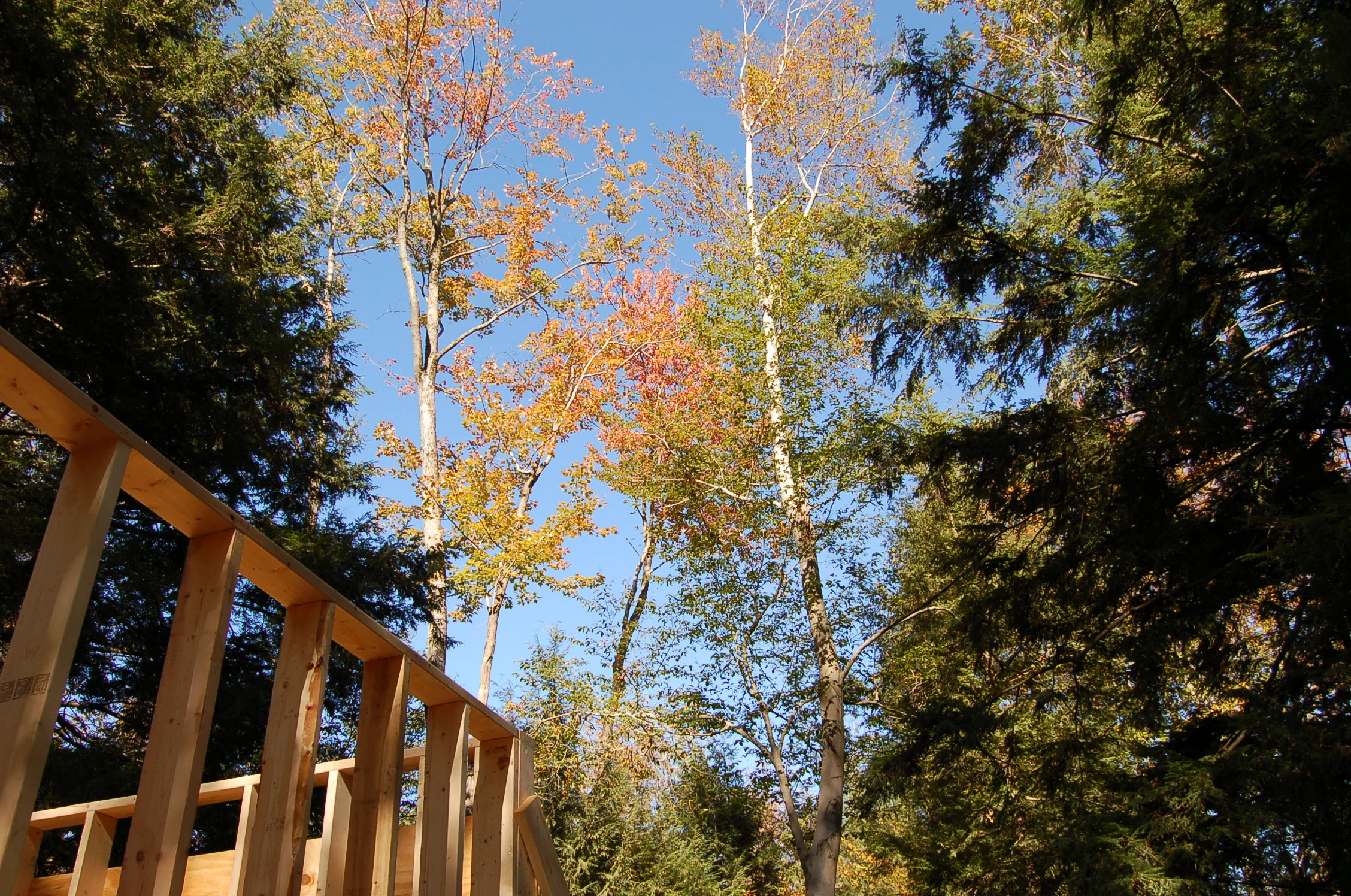 DSC_0231.JPG