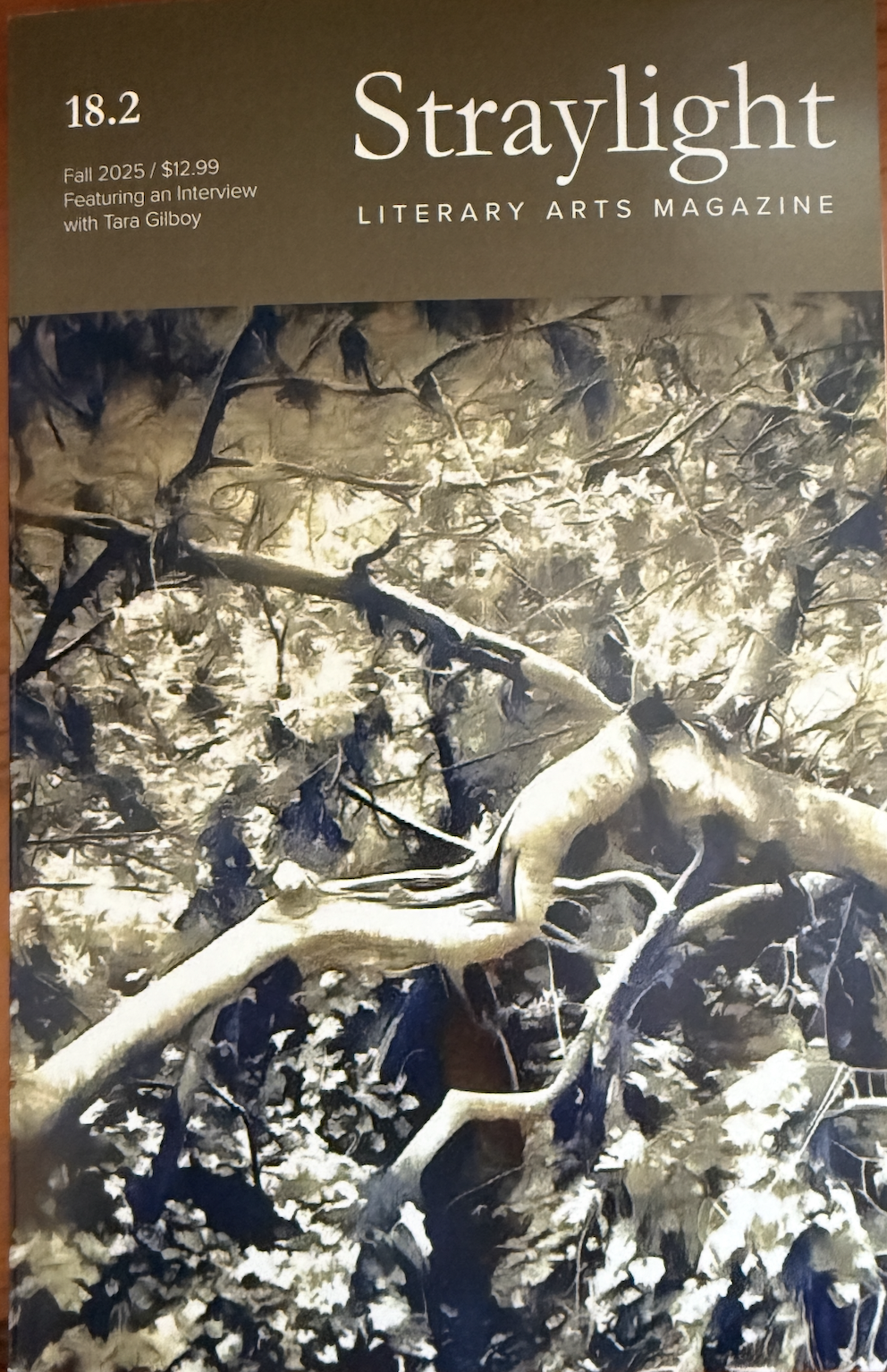 Screenshot 2026-02-21 at 11.02.49 AM.png